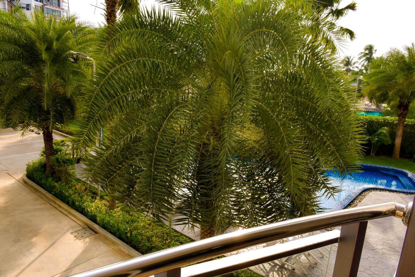 Whale Marina Condominium Na Chom Thian Room photo